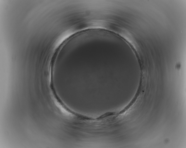 X0000093751127200710231226