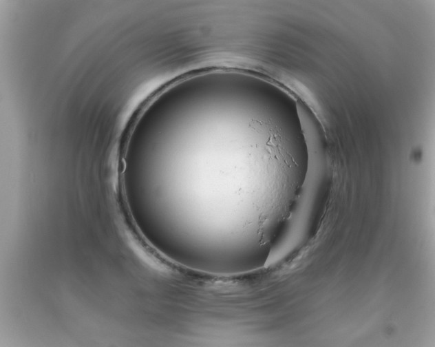 X0000093751128200710231226