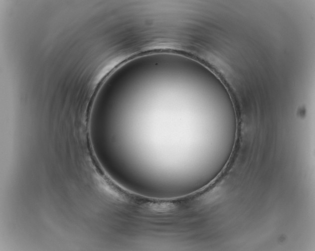 X0000093751129200710231226