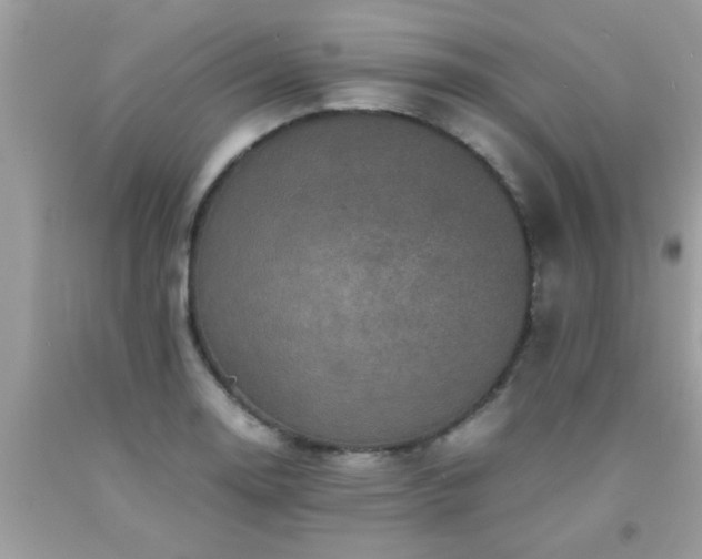 X0000093751130200710231226