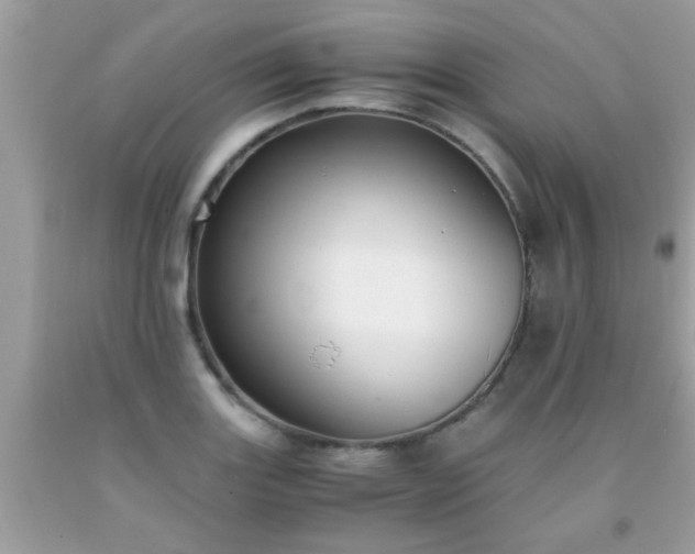 X0000093751131200710231226