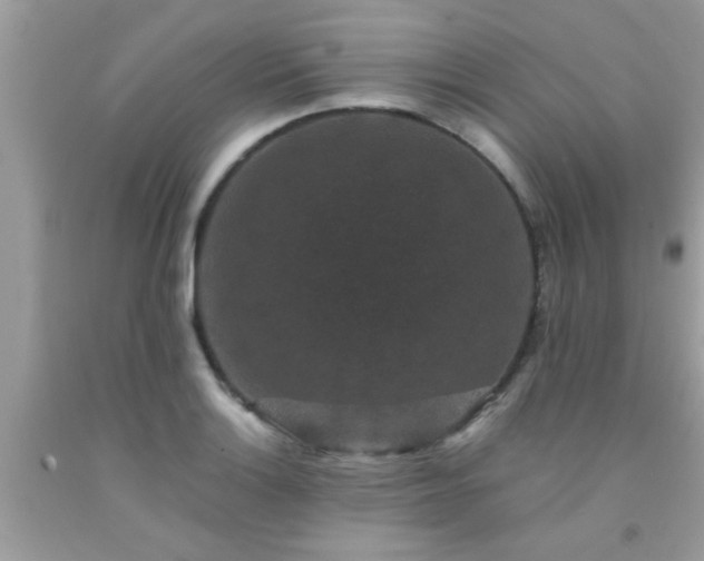 X0000093751132200710231226
