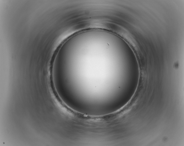 X0000093751133200710231226