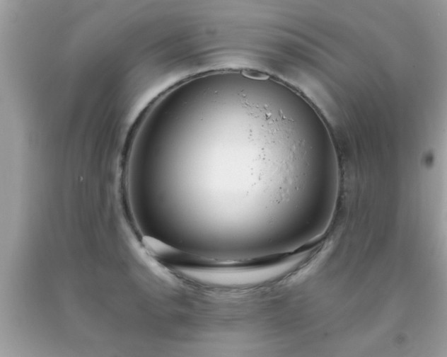 X0000093751134200710231227
