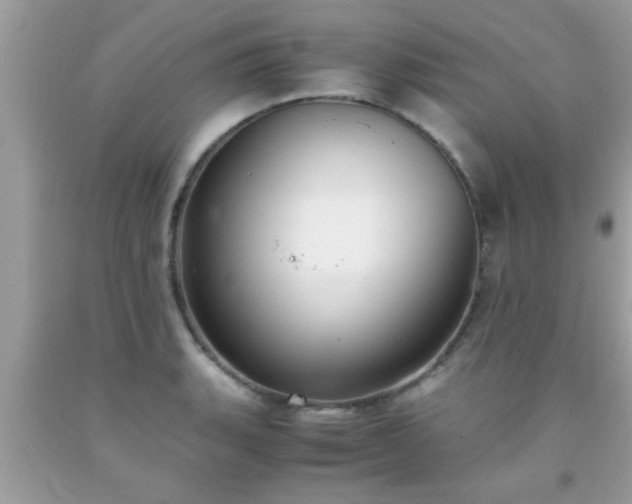 X0000093751135200710231227