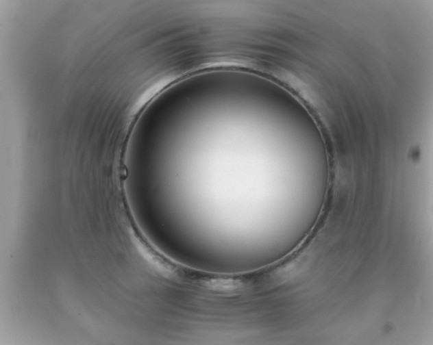 X0000093751137200710231227