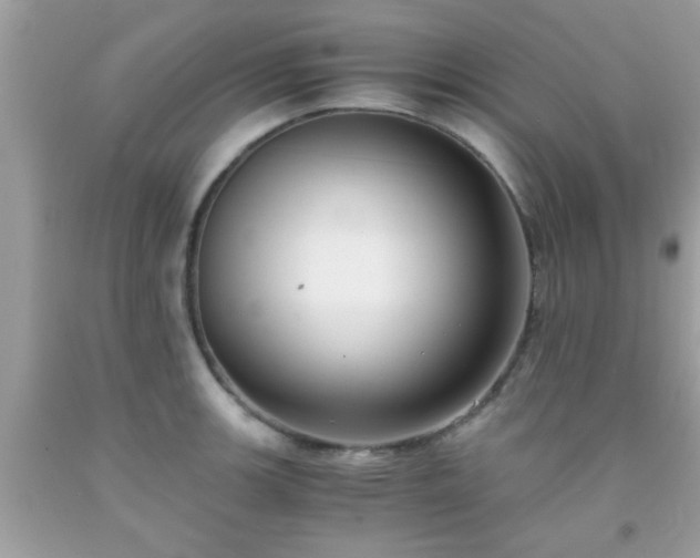 X0000093751139200710231227