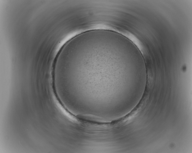 X0000093751142200710231227