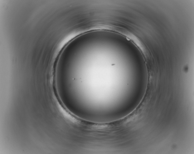 X0000093751143200710231227