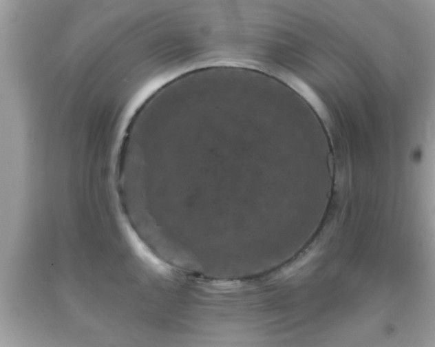 X0000093751144200710231227