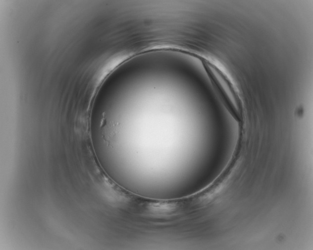 X0000093751145200710231227