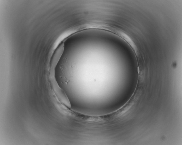 X0000093751146200710231227