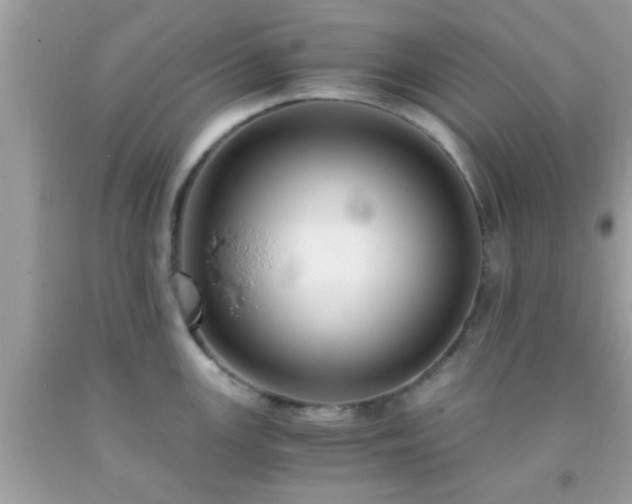 X0000093751147200710231227