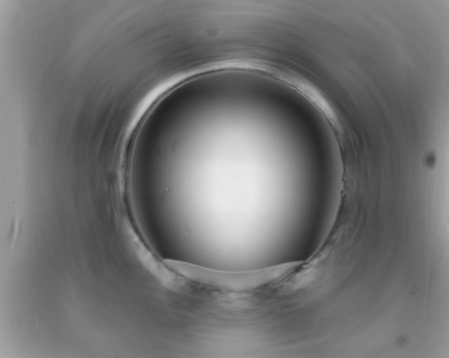X0000093751148200710231227
