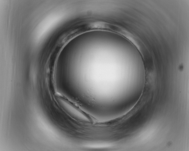 X0000093751151200710231227