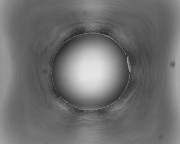 X0000093751153200710231226