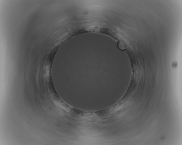 X0000093751154200710231226