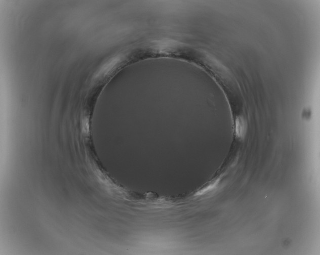 X0000093751155200710231226