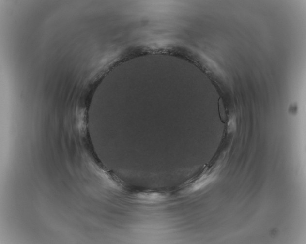 X0000093751156200710231226