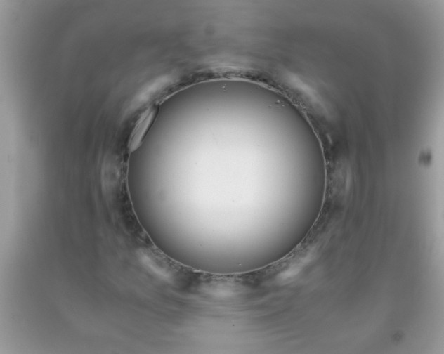 X0000093751157200710231226