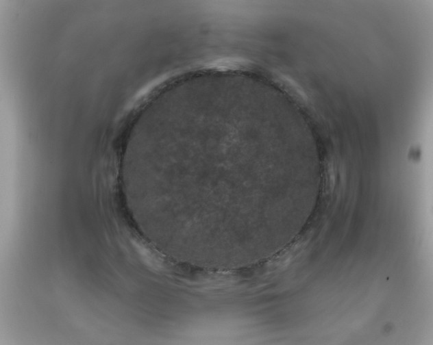 X0000093751158200710231226