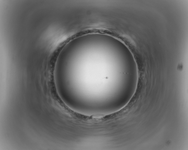 X0000093751159200710231226