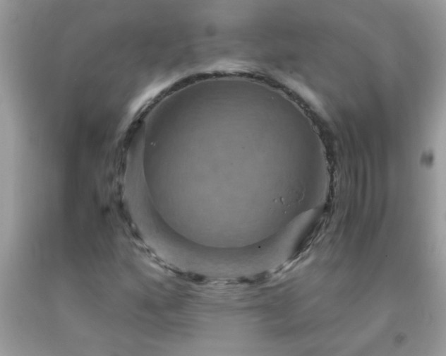 X0000093751160200710231226