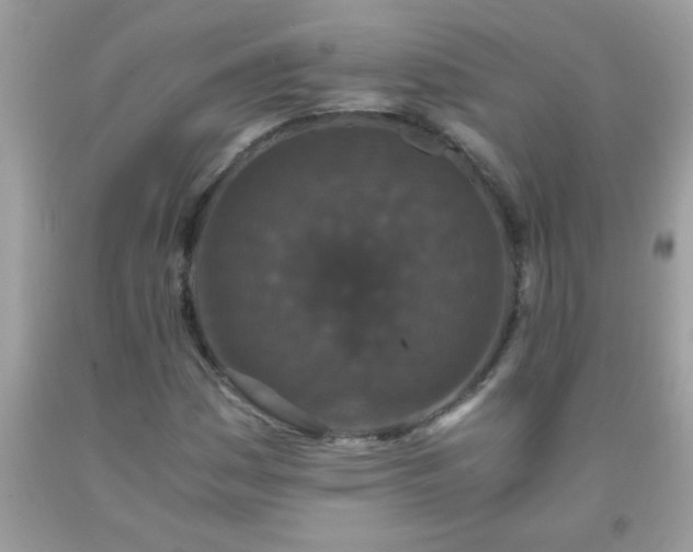 X0000093751161200710231226