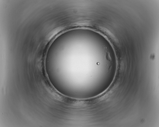 X0000093751162200710231226