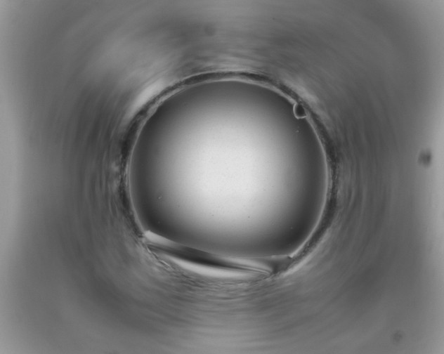 X0000093751163200710231226