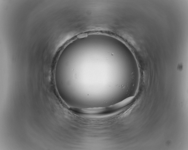 X0000093751165200710231226