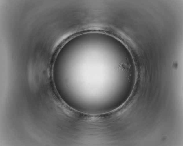 X0000093751166200710231226