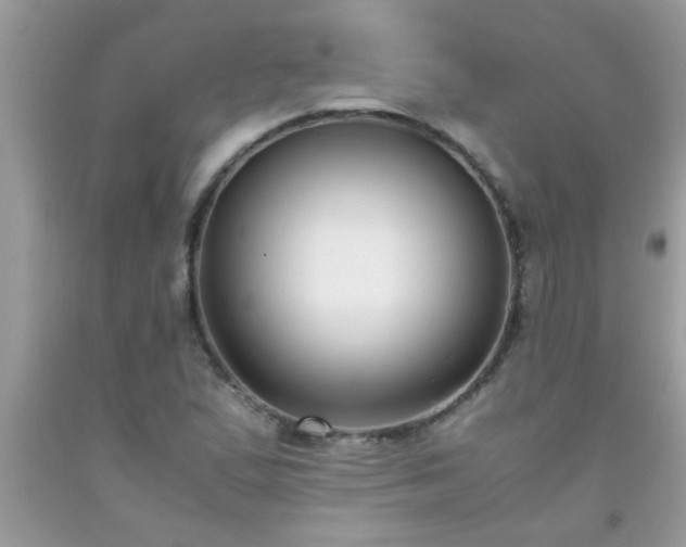 X0000093751167200710231226
