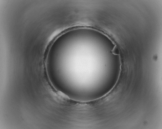 X0000093751168200710231226
