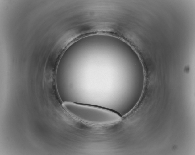 X0000093751169200710231226