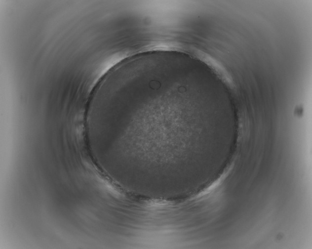 X0000093751170200710231226