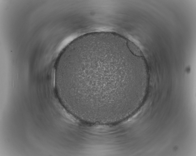 X0000093751171200710231226