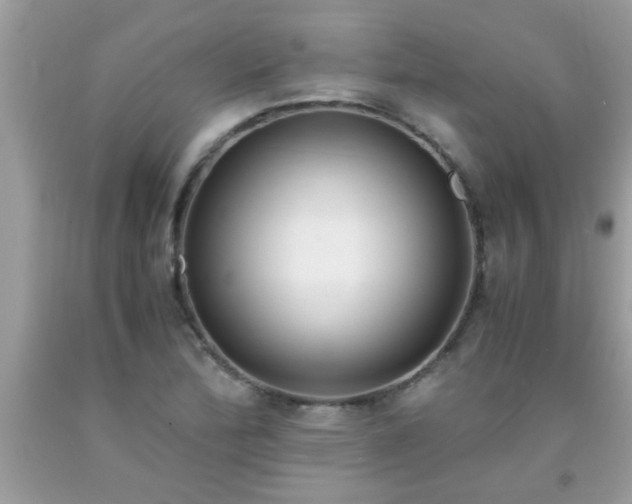 X0000093751172200710231226