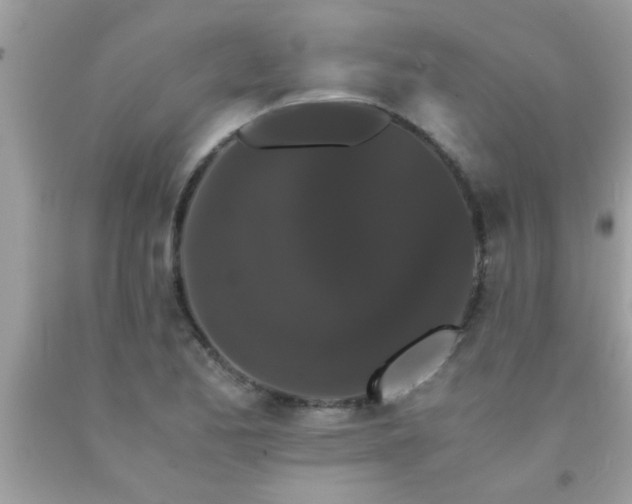 X0000093751173200710231226