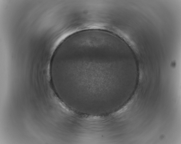 X0000093751174200710231226