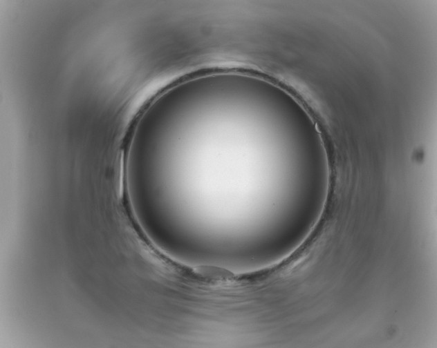 X0000093751175200710231226