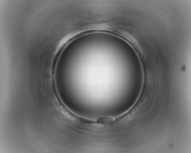 X0000093751176200710231226