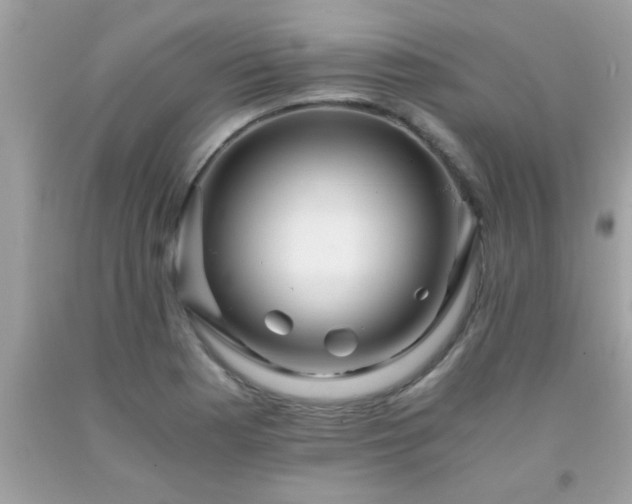 X0000093751177200710231226