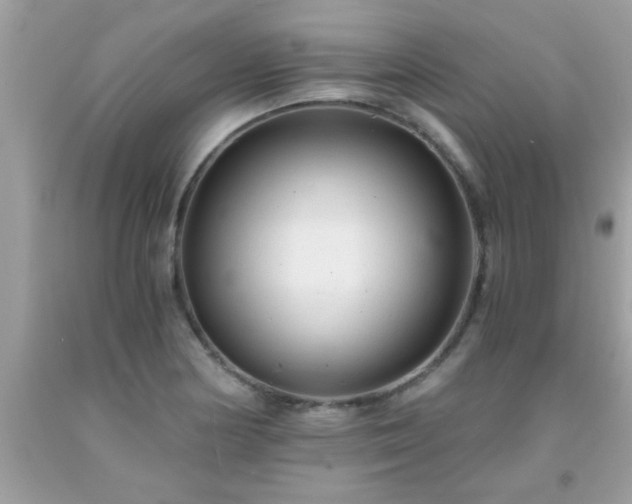 X0000093751178200710231226