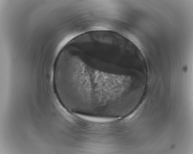 X0000093751179200710231226