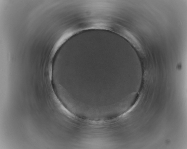 X0000093751180200710231226