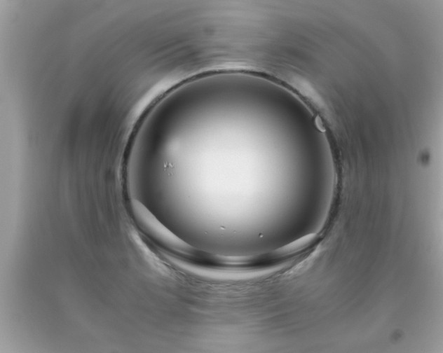 X0000093751181200710231226