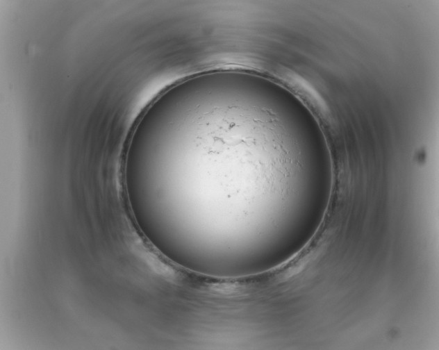 X0000093751182200710231226