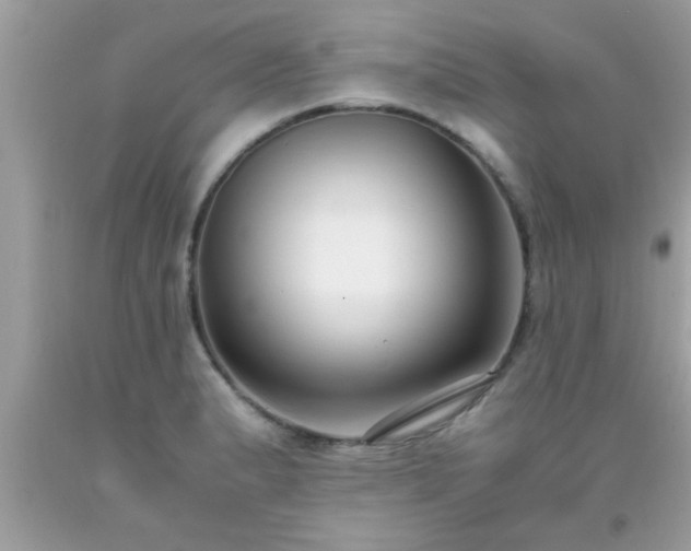 X0000093751183200710231226