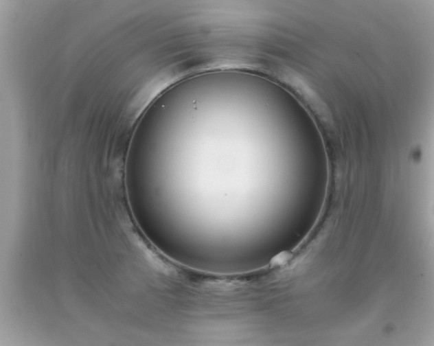 X0000093751185200710231226